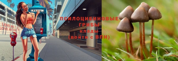 скорость mdpv Каменногорск