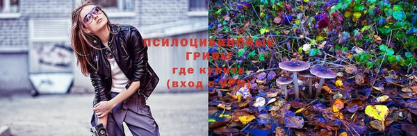 скорость mdpv Каменногорск