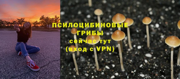 индика Каменск-Шахтинский