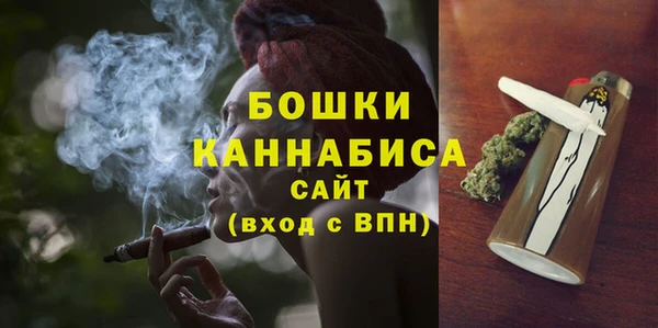 индика Каменск-Шахтинский